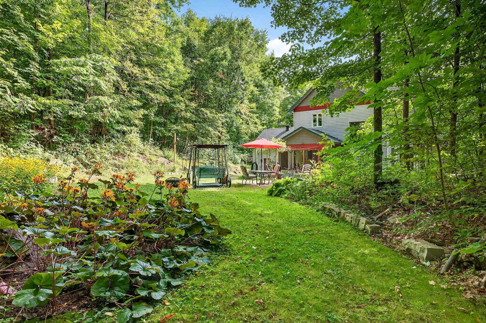 Backyard