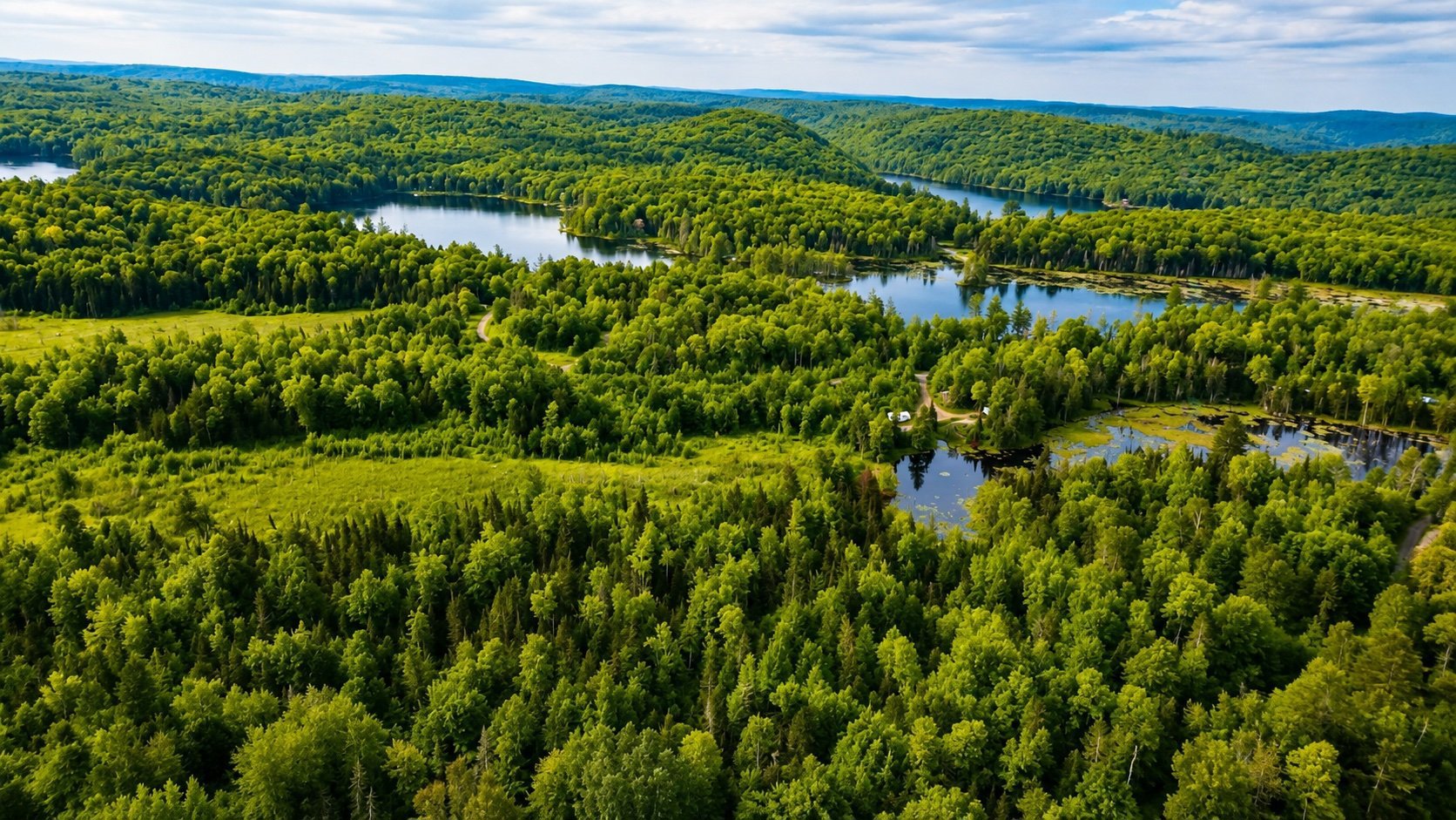 Aerial photo
