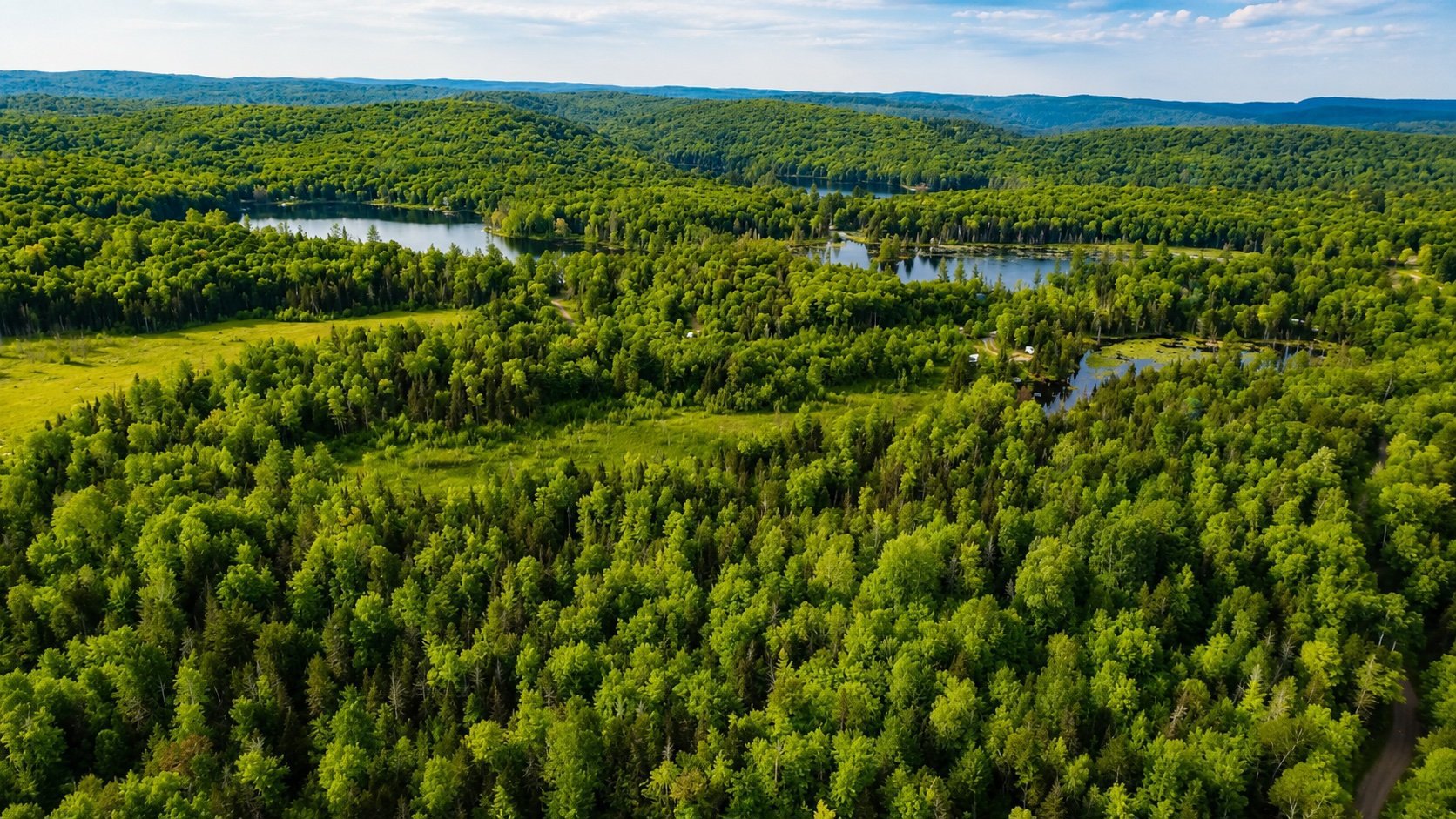 Aerial photo