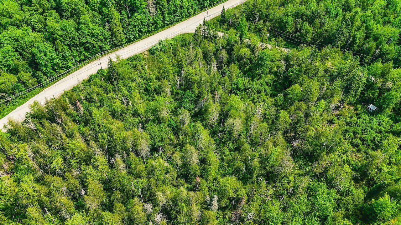 Aerial photo