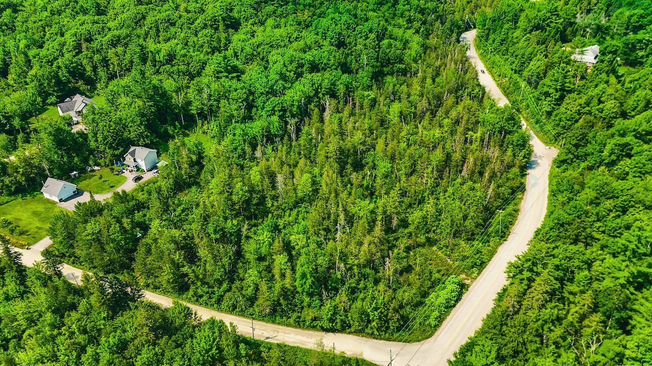 Aerial photo