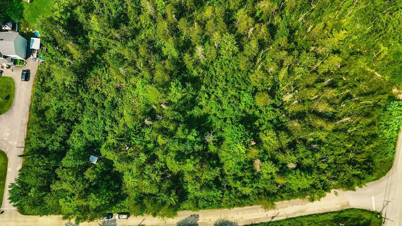 Aerial photo
