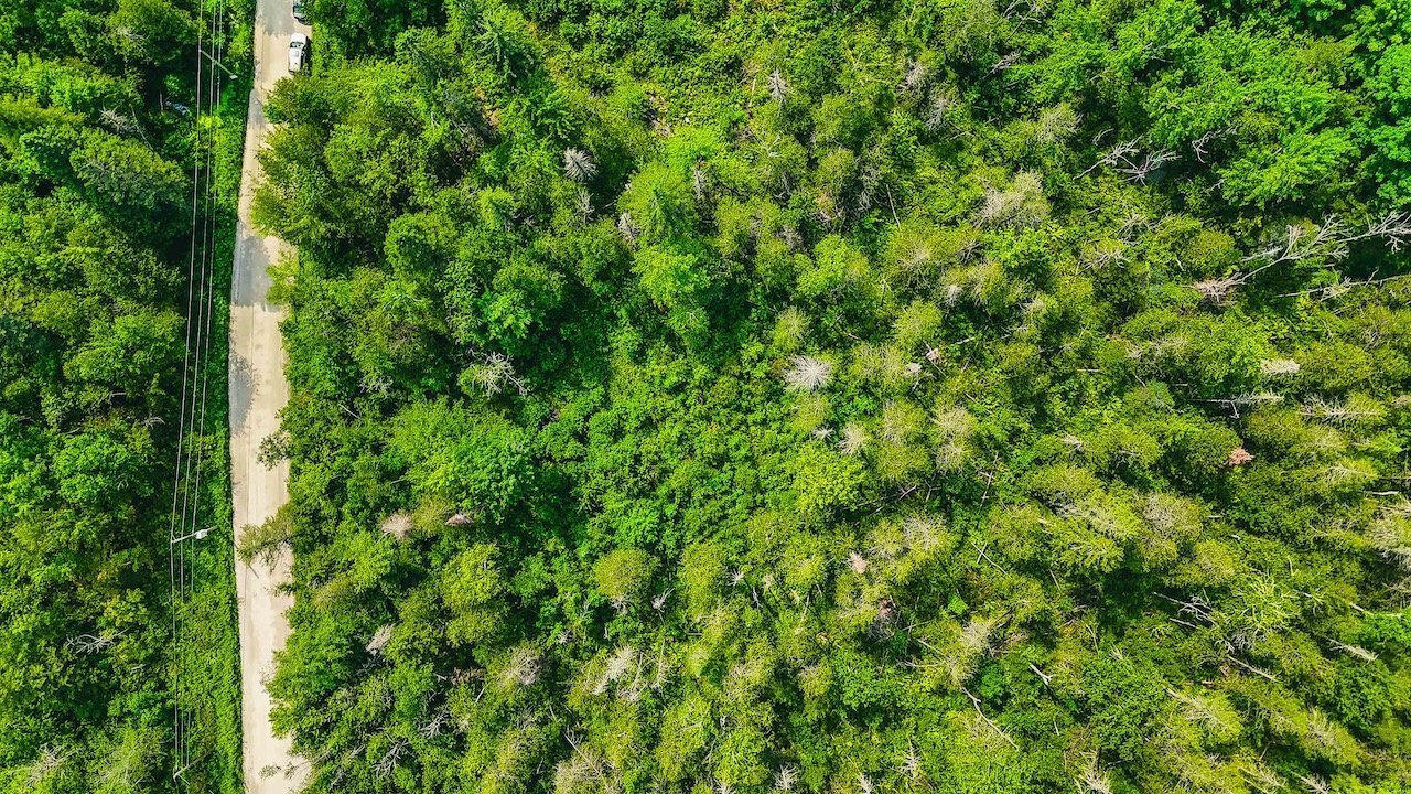 Aerial photo