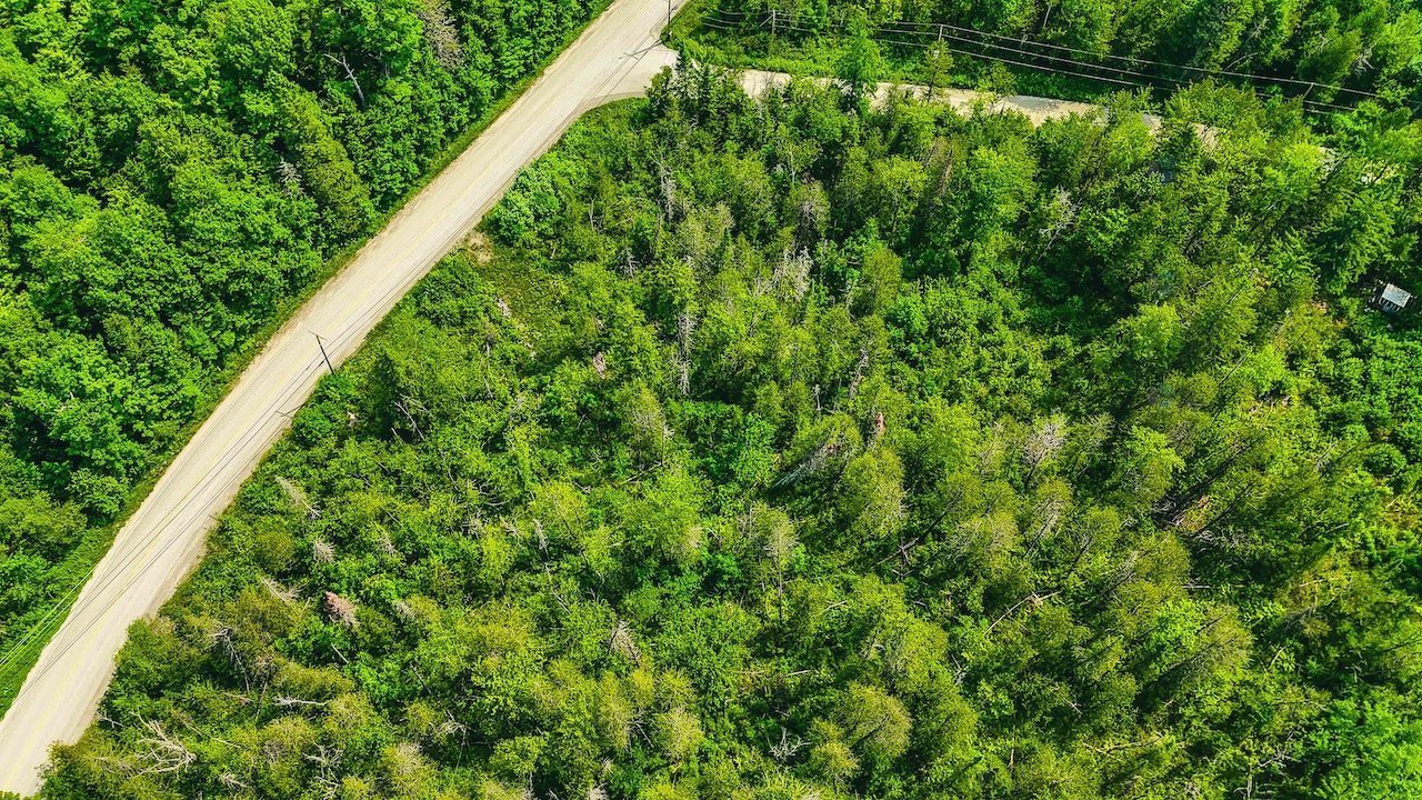 Aerial photo