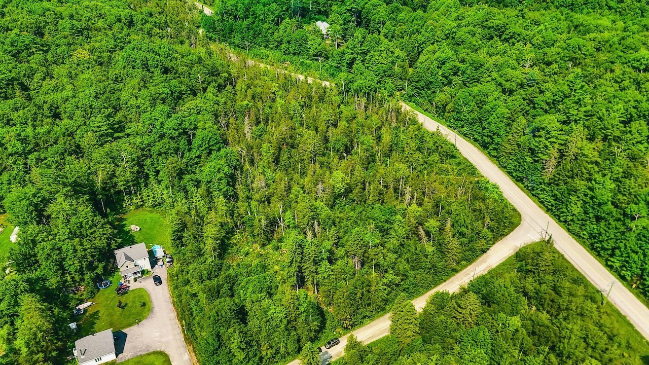 Aerial photo