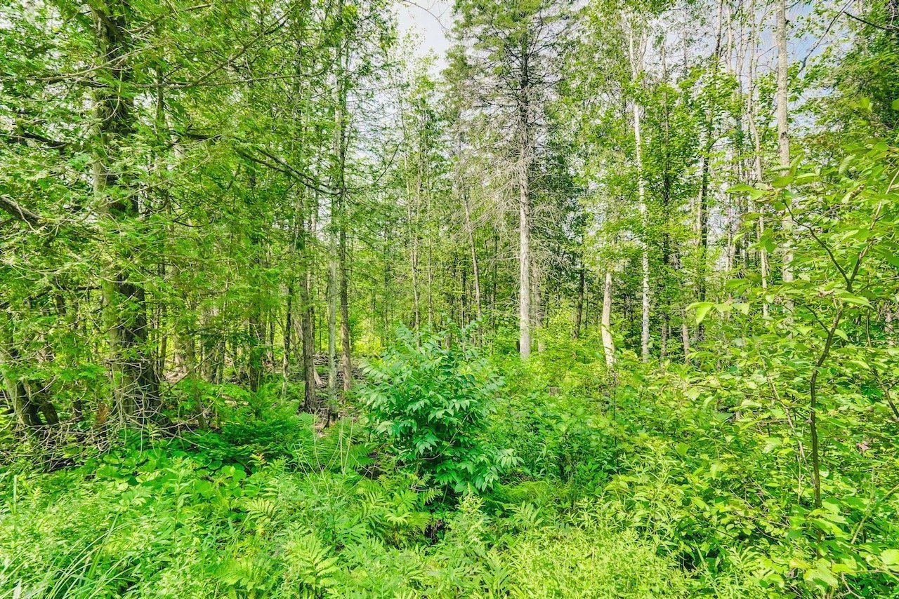 Land/Lot