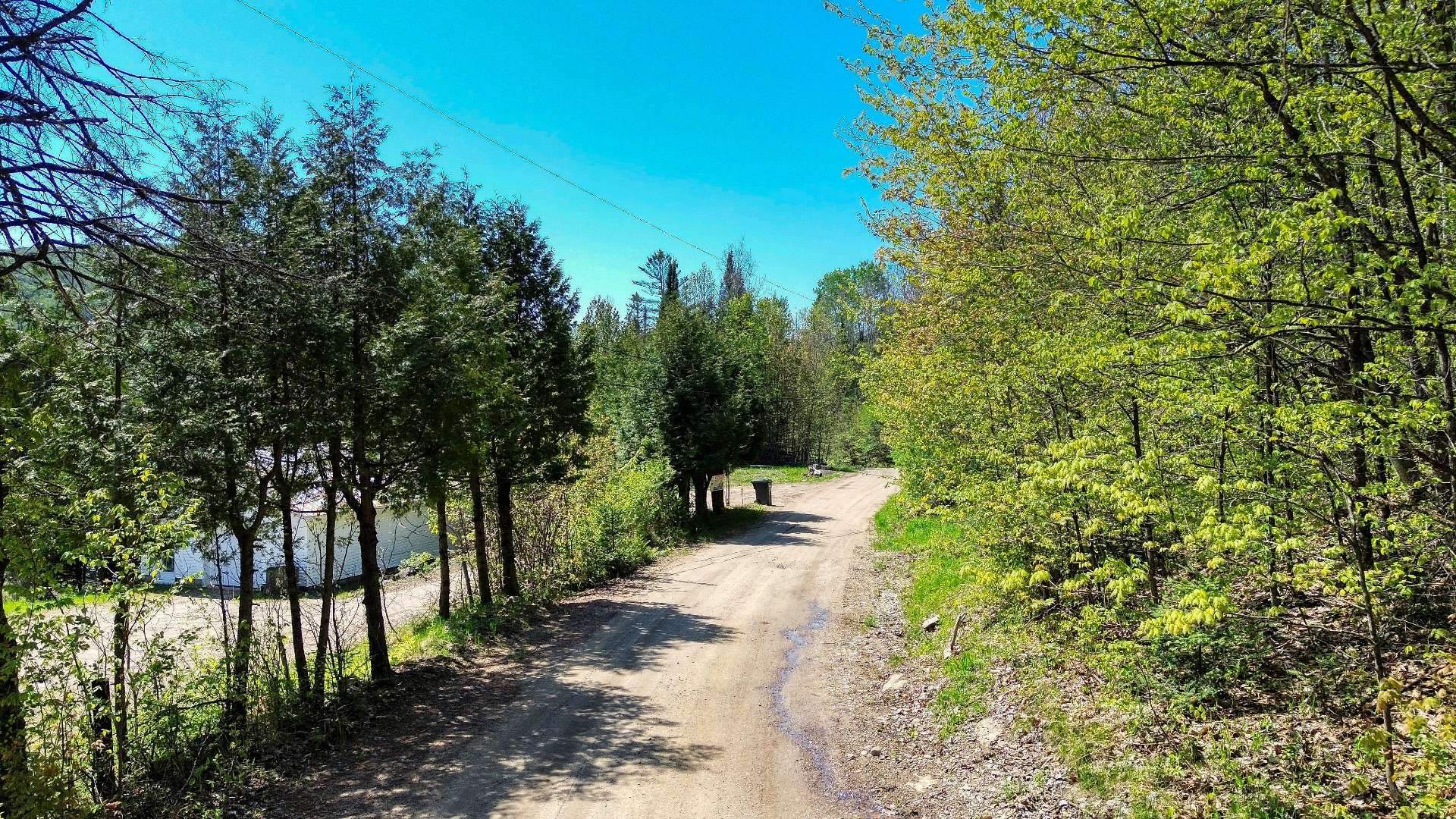 Overall view