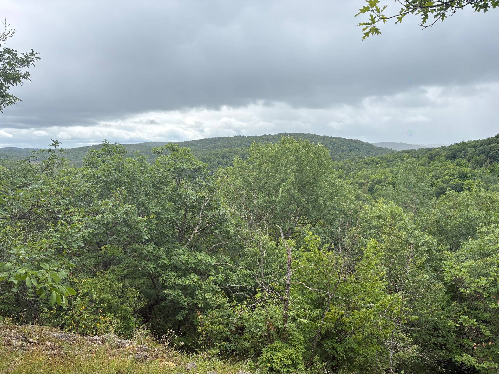 View