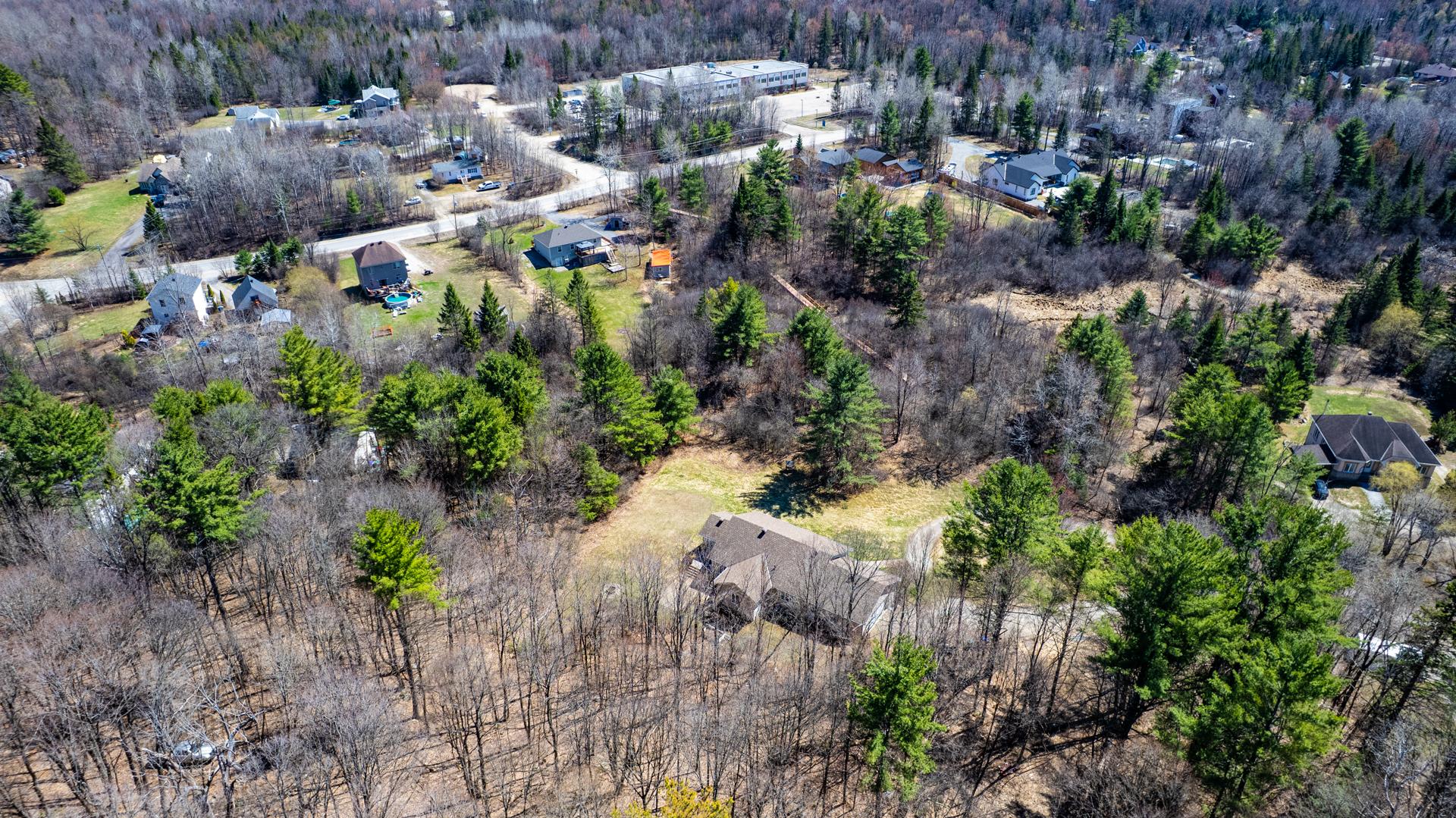 Overall View