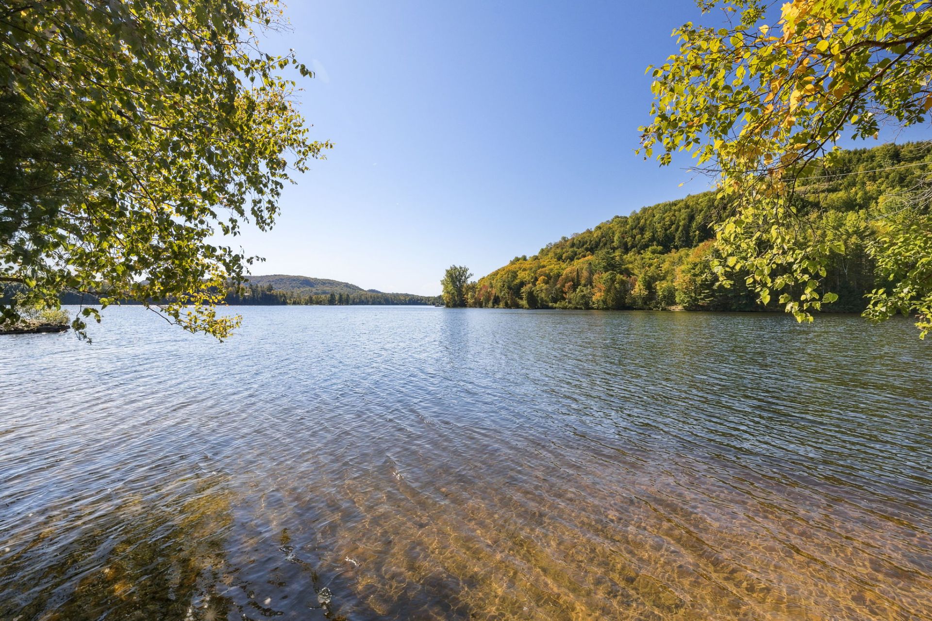 Water view