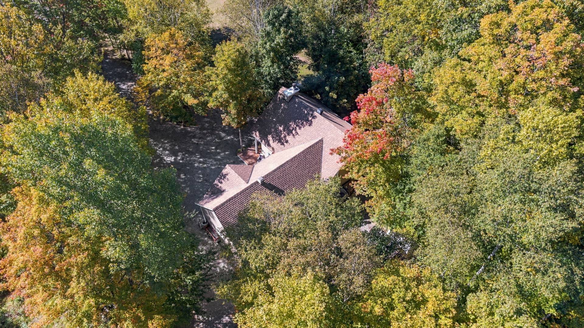 Overall view