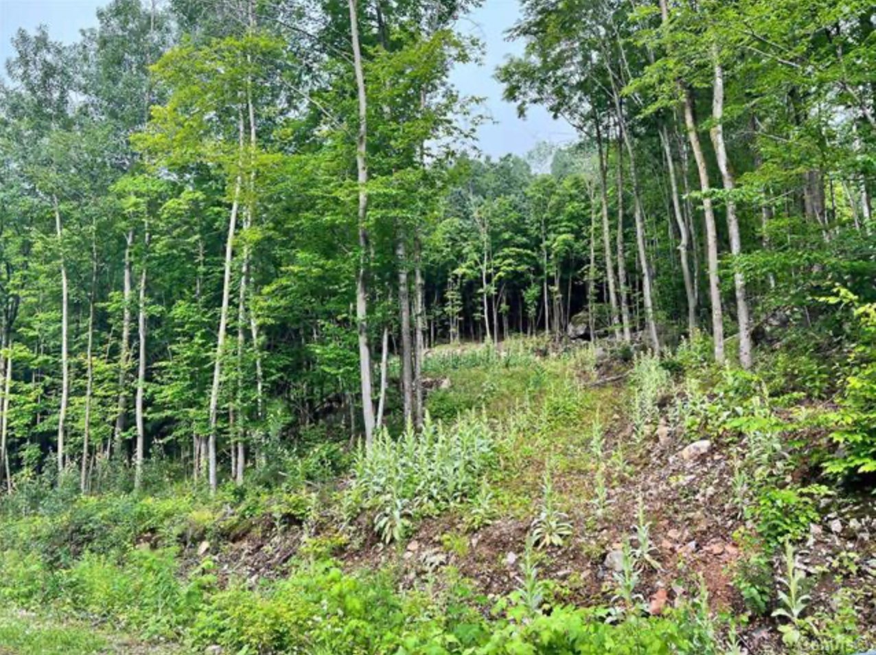 Land/Lot