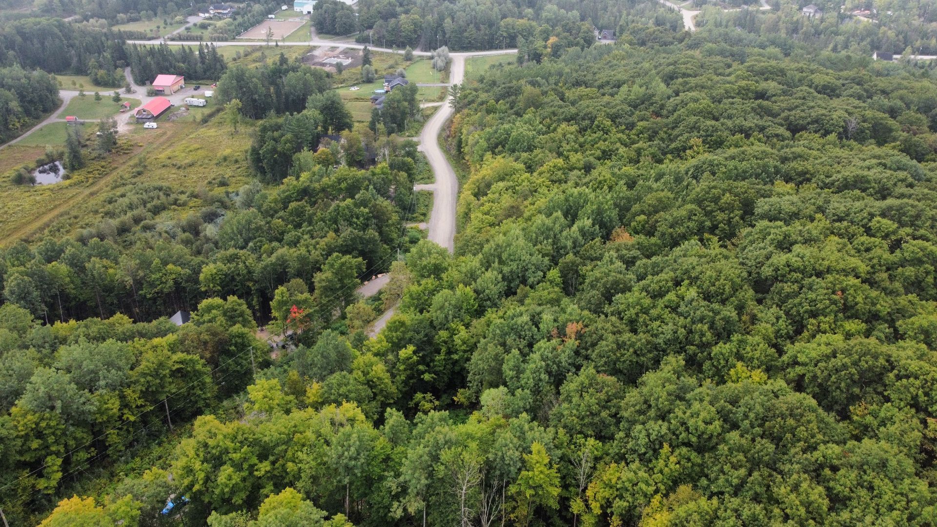 Overall view