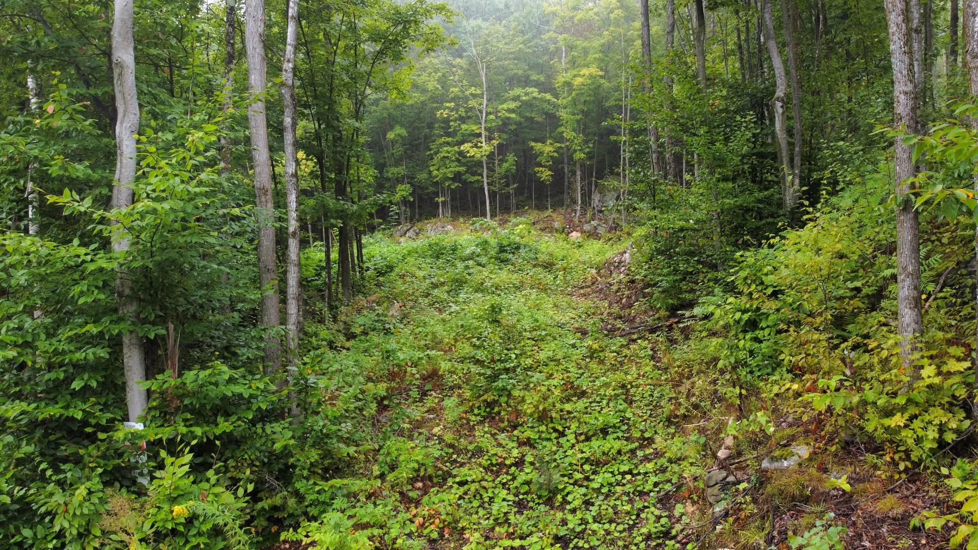 Land/Lot