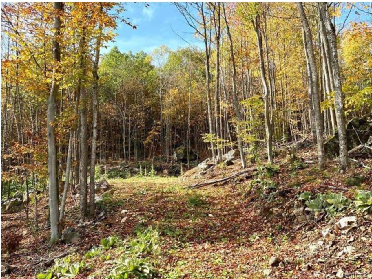Land/Lot