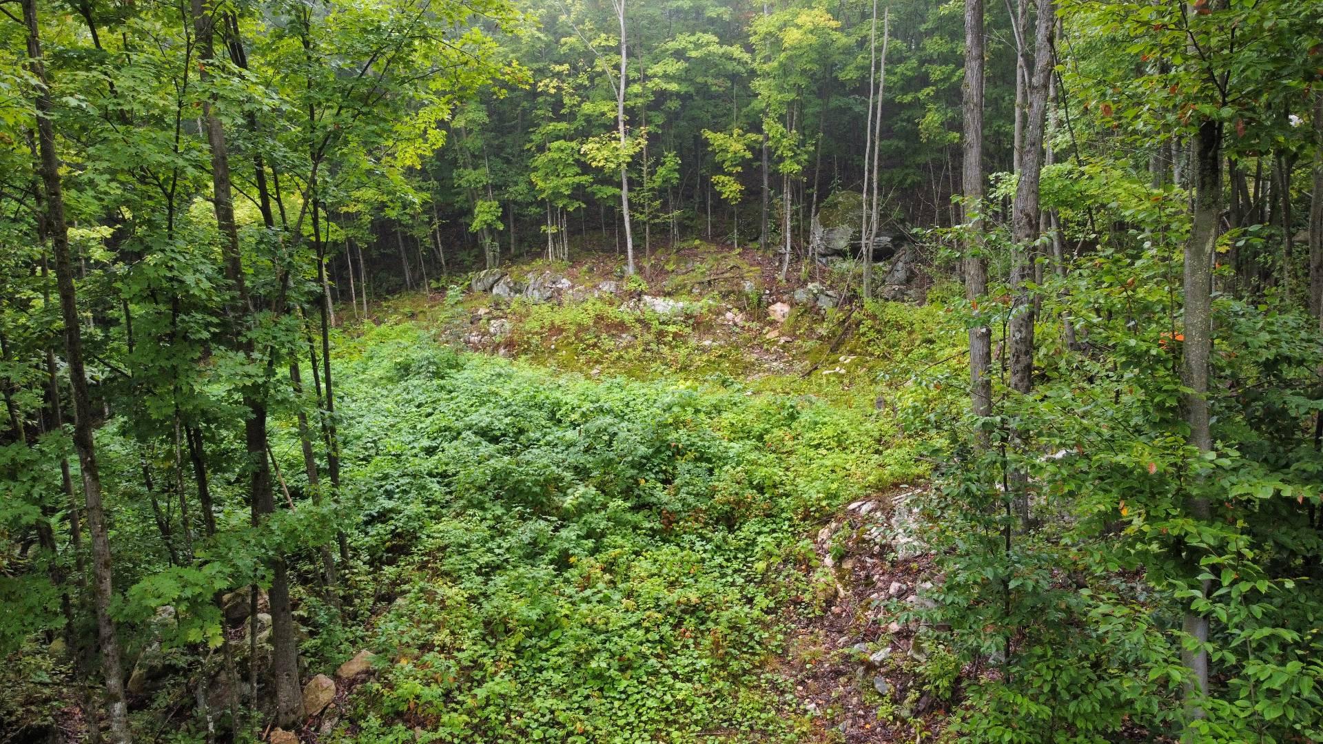 Land/Lot