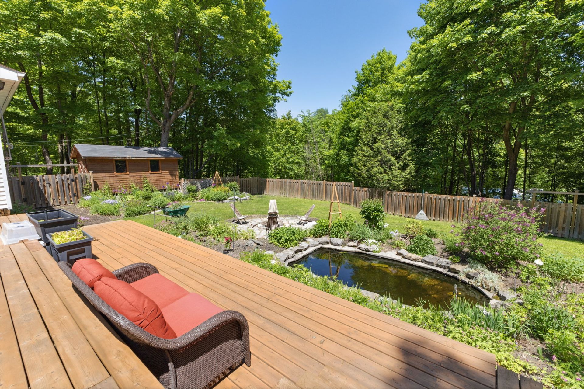 Backyard