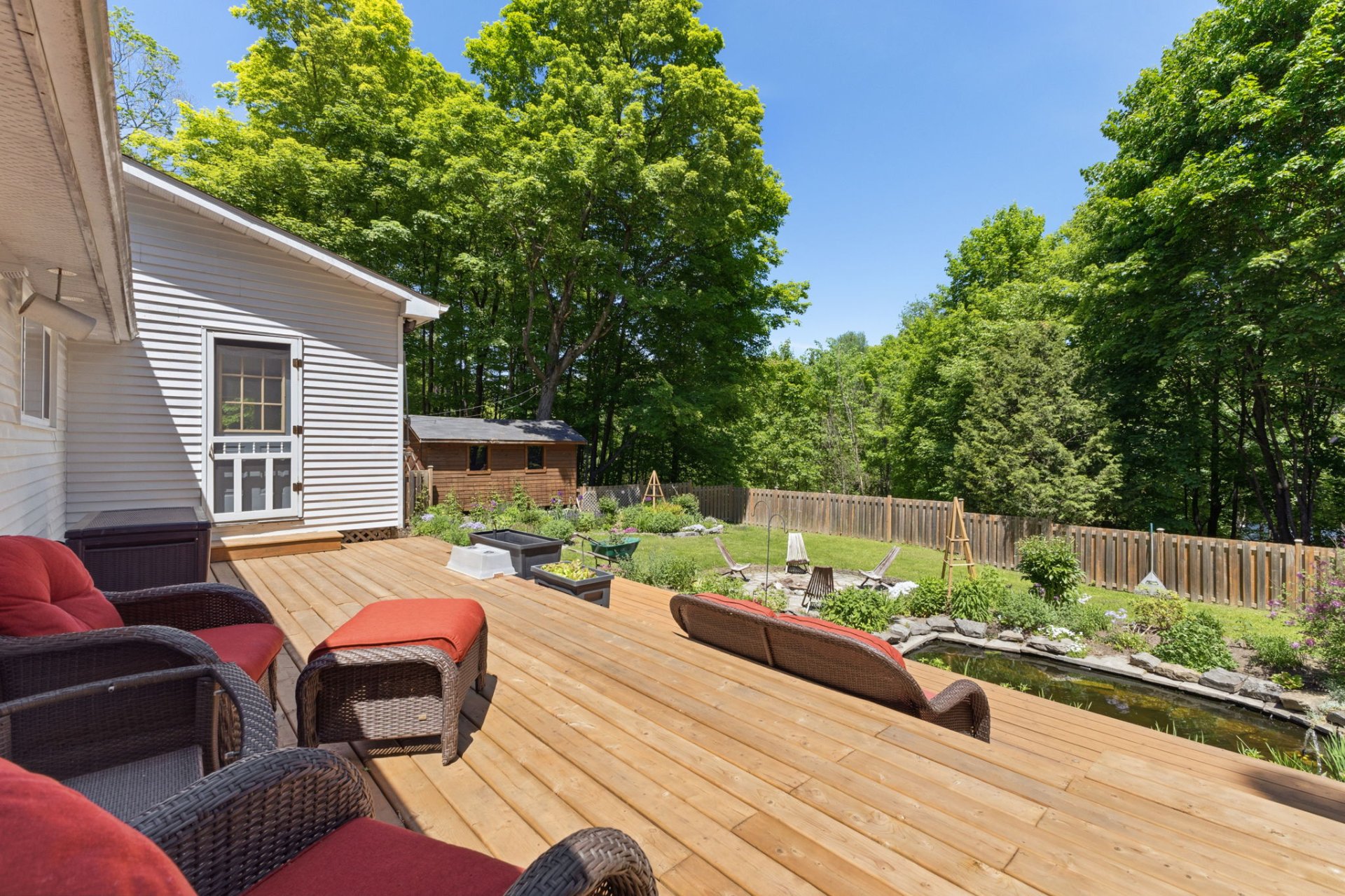 Backyard