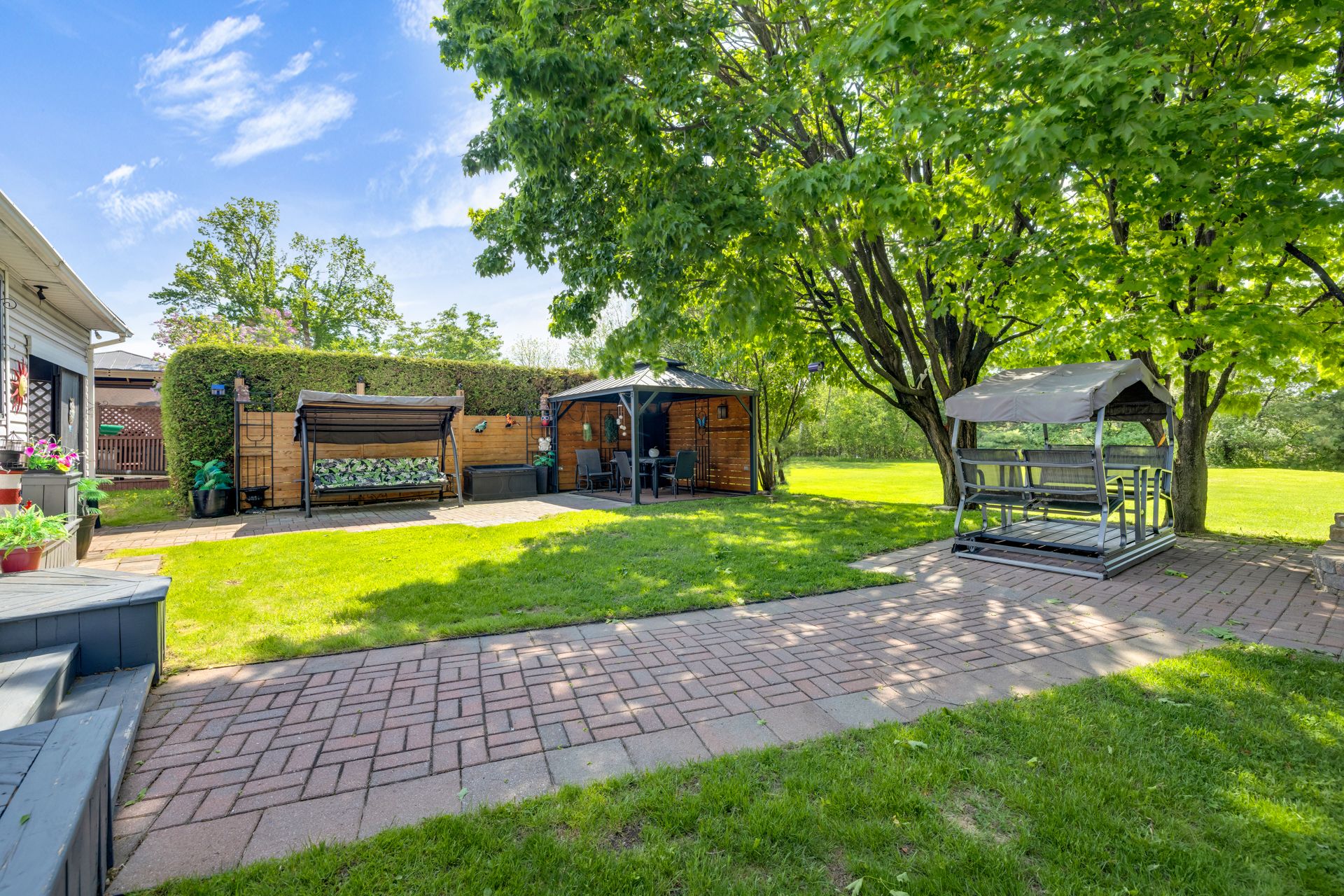 Backyard