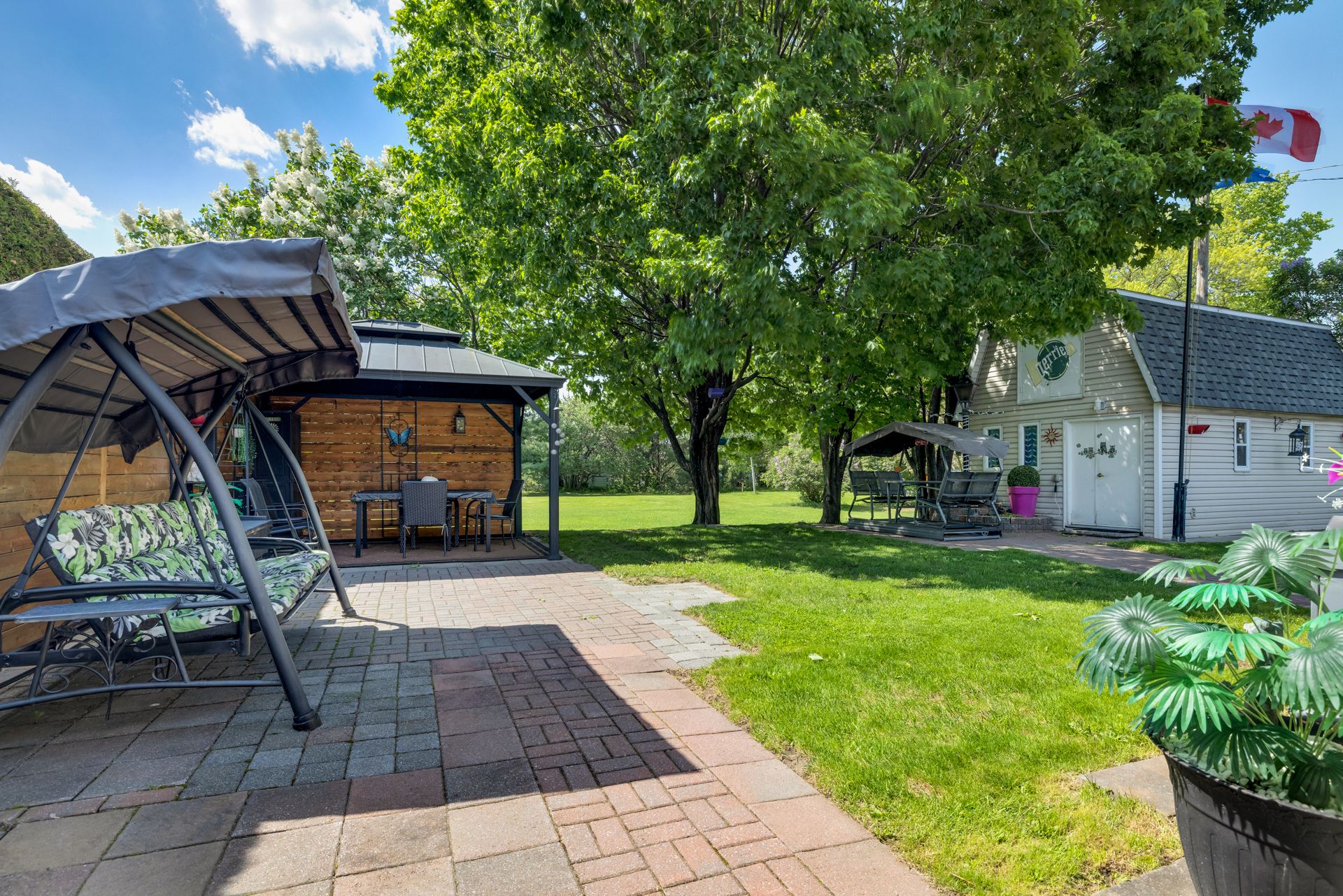Backyard