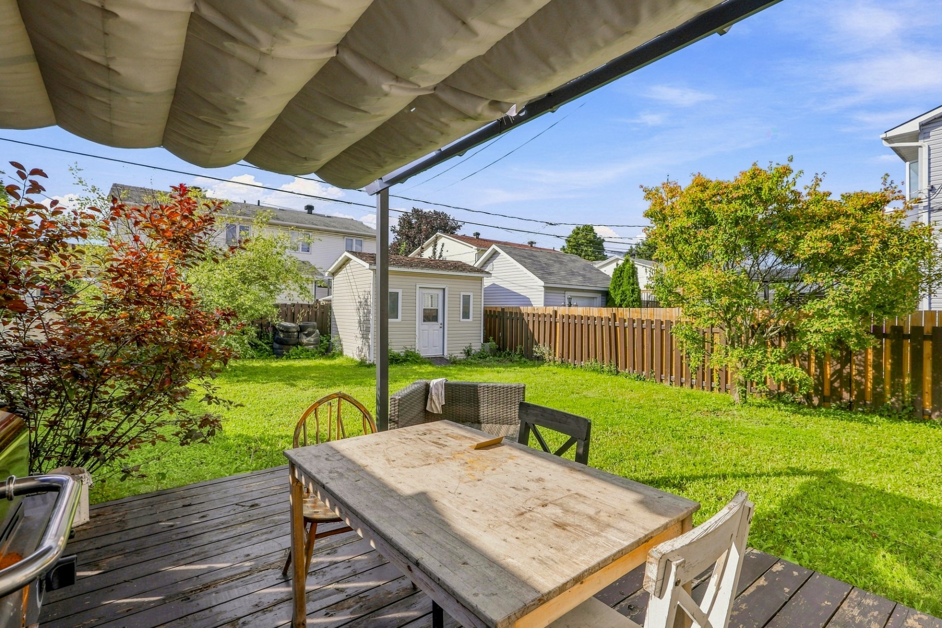Backyard