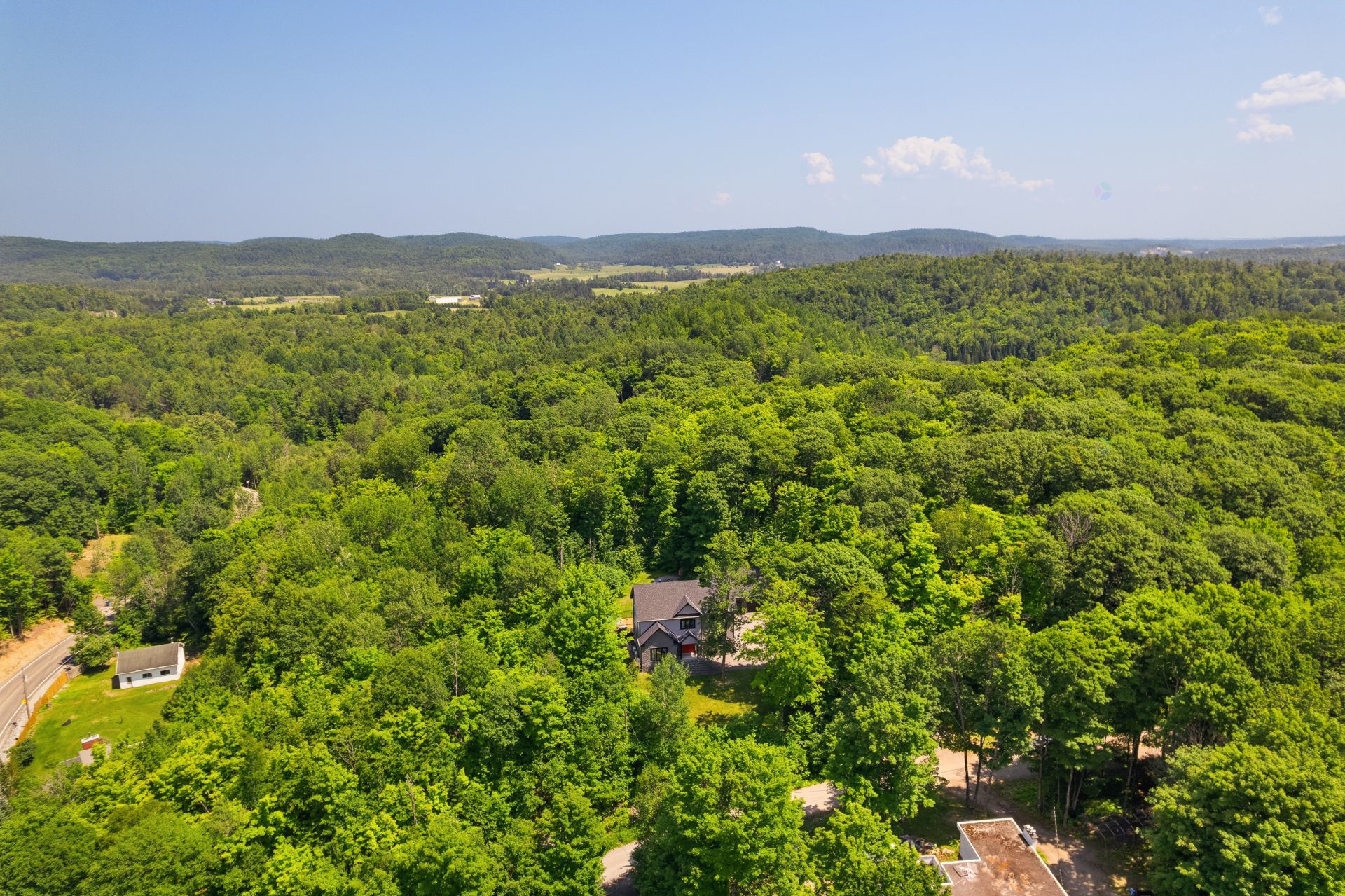 Overall view