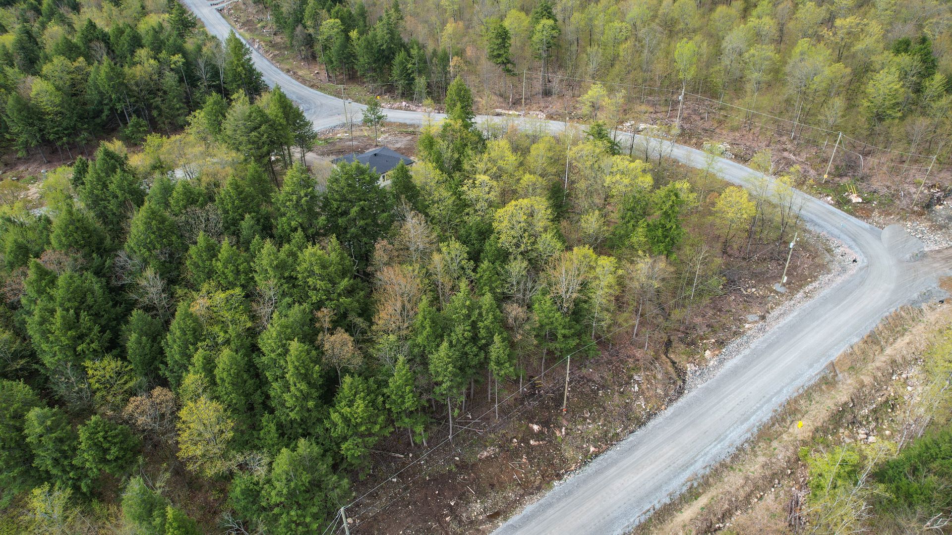 Overall View