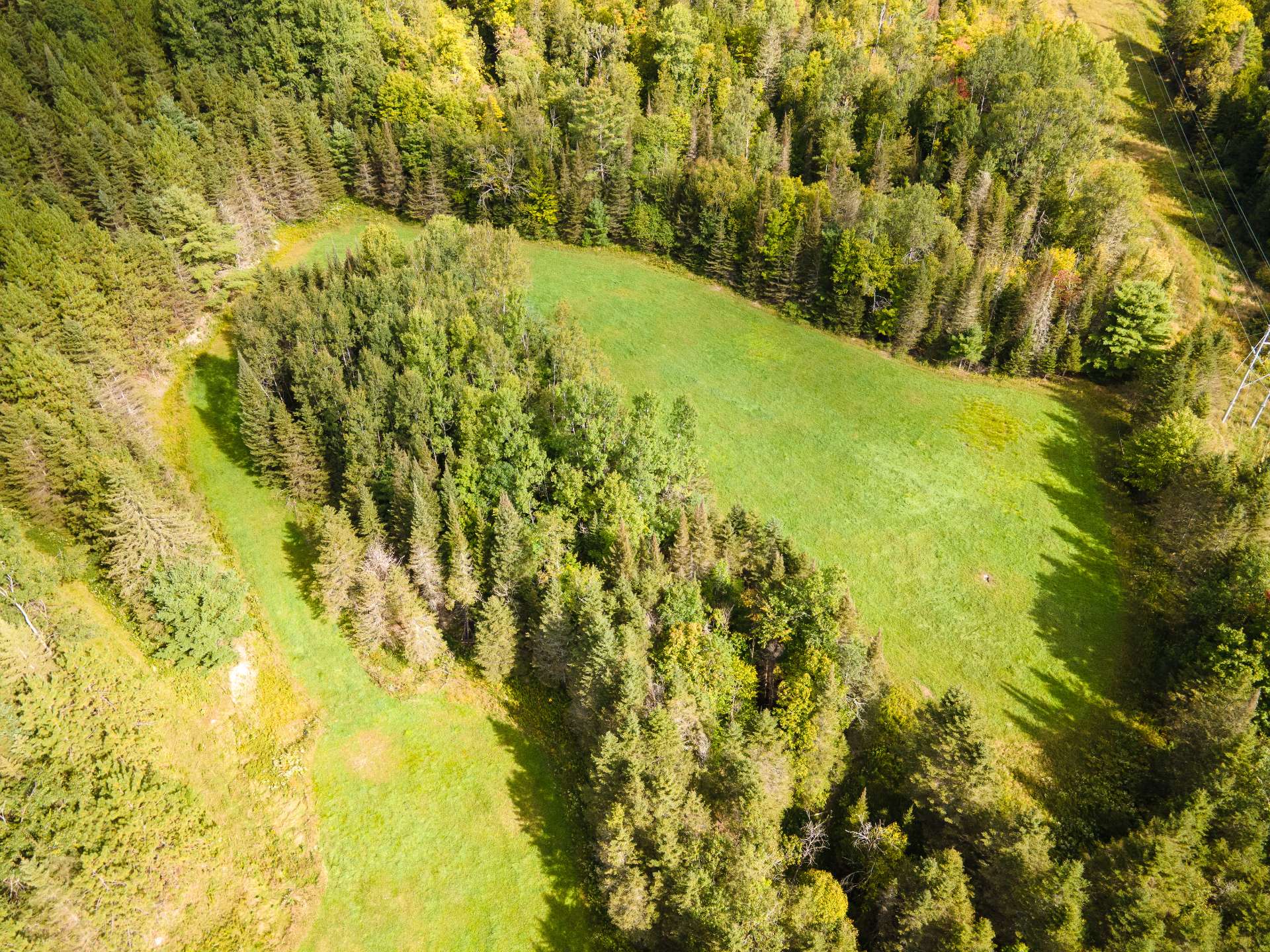 Terre/Terrain