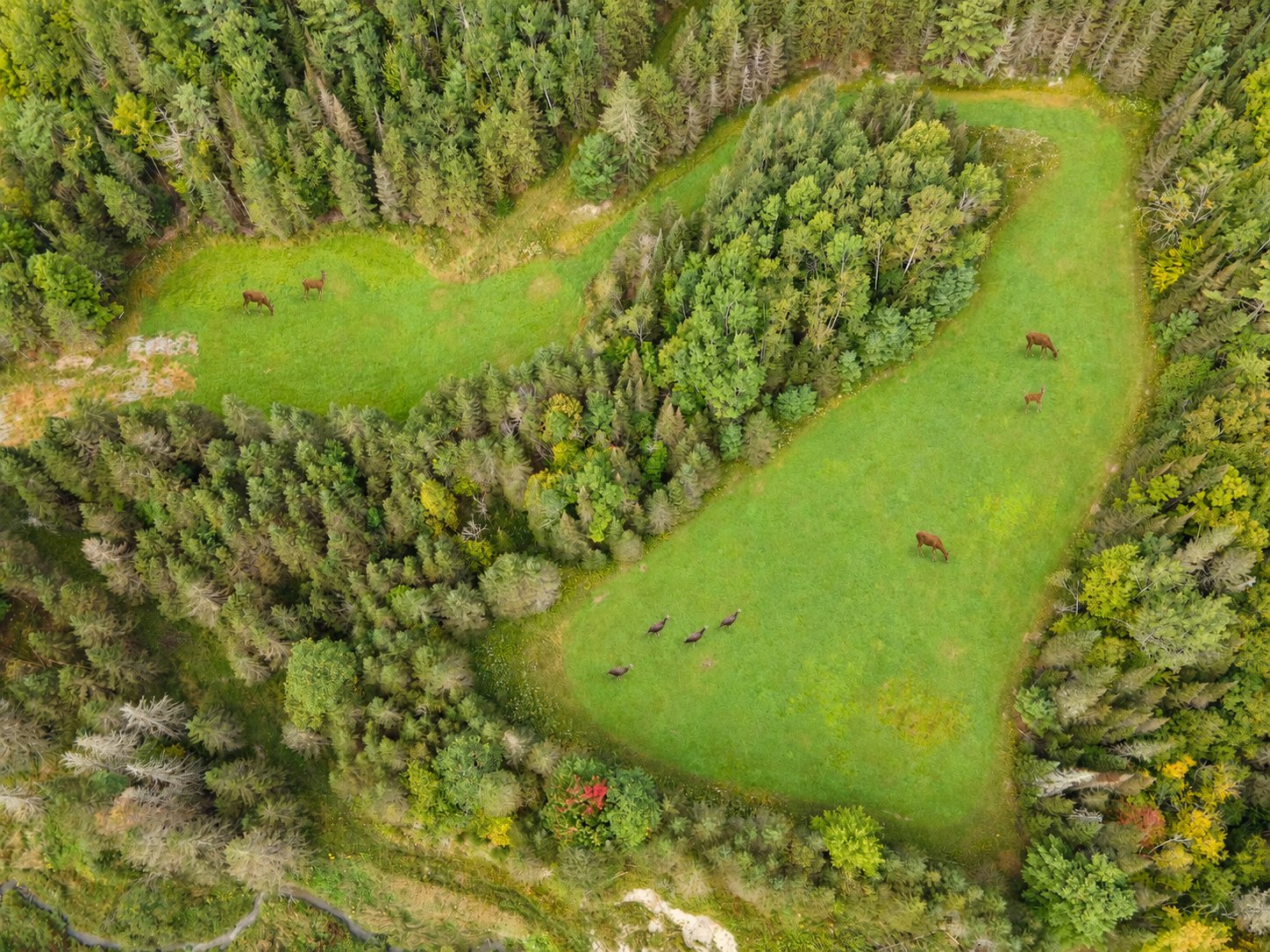 Terre/Terrain