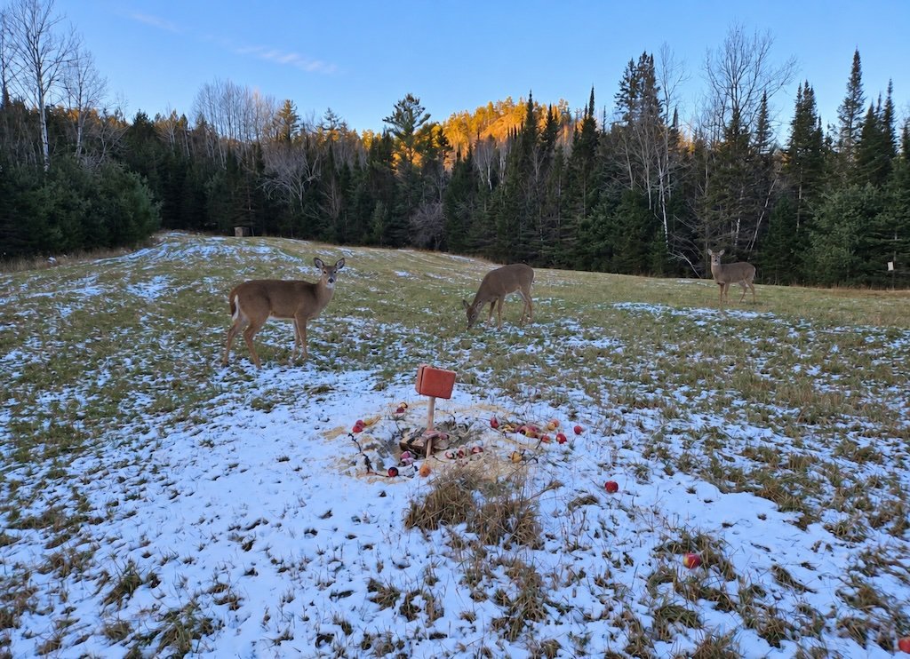 Le temps de la chasse