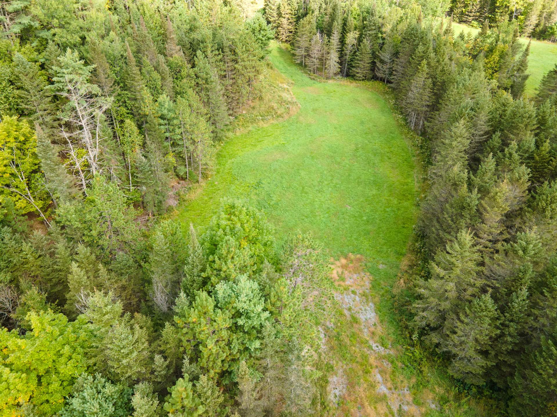 Terre/Terrain