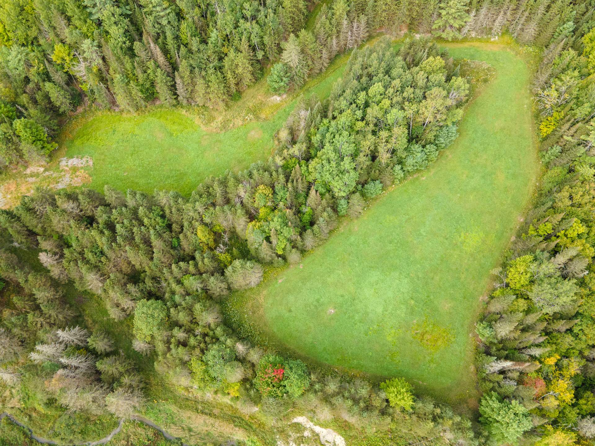 Terre/Terrain