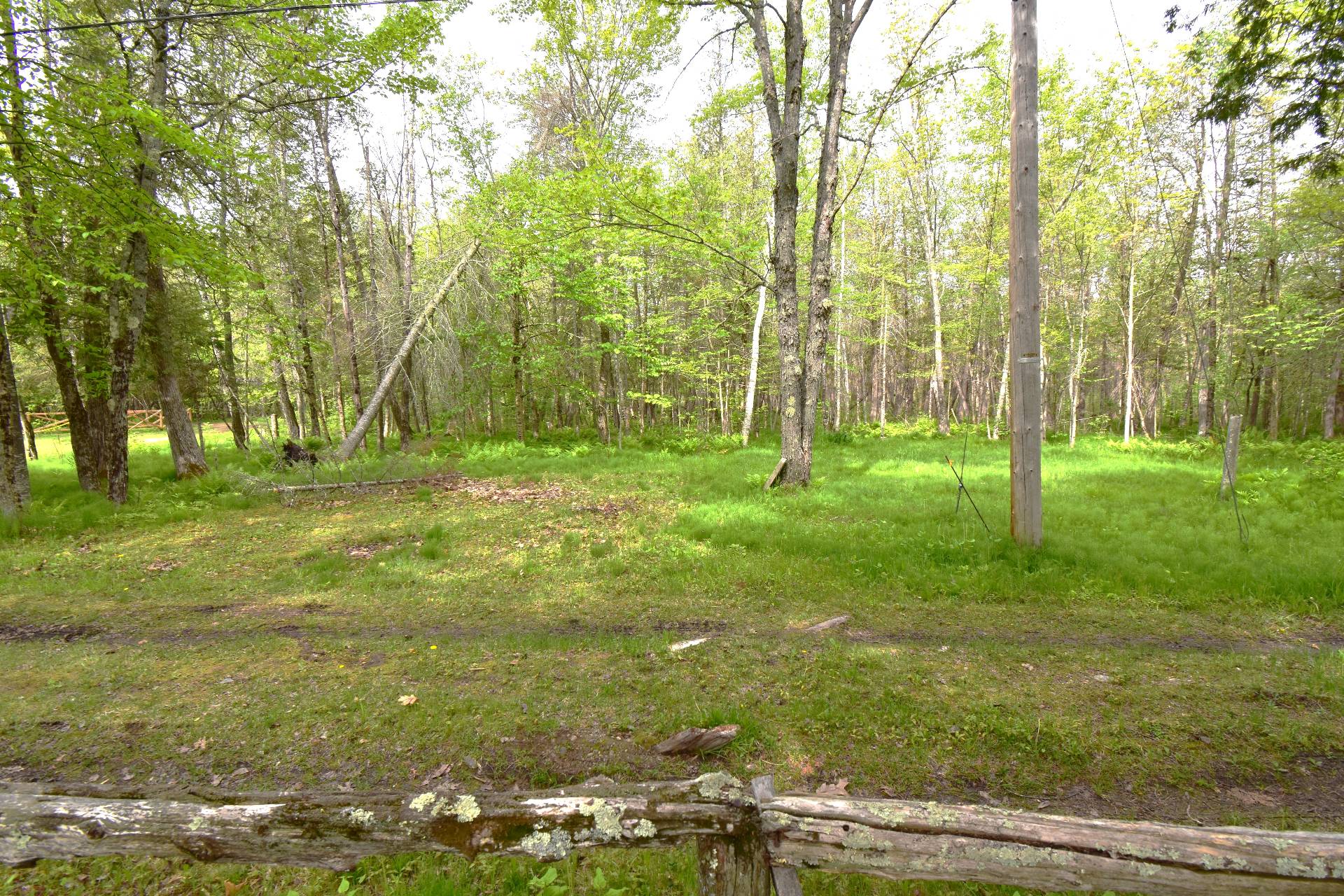 Land/Lot