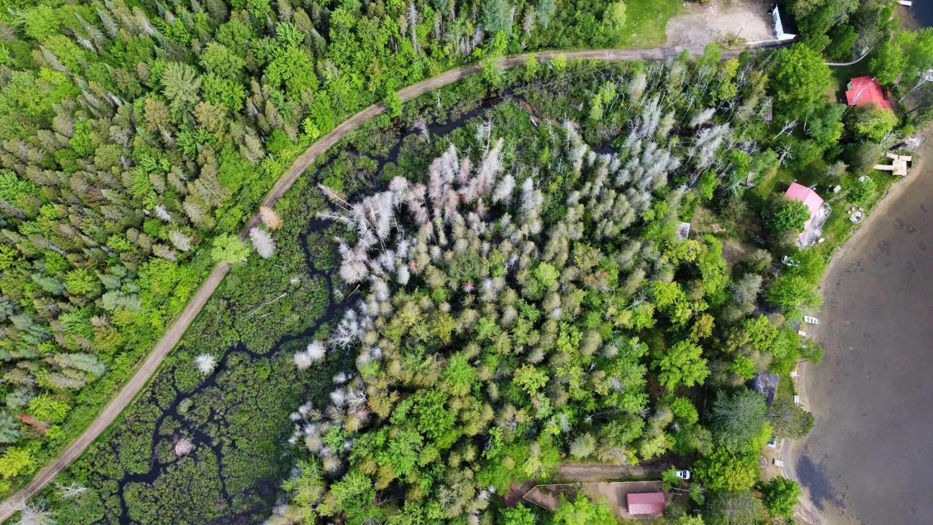 Aerial photo