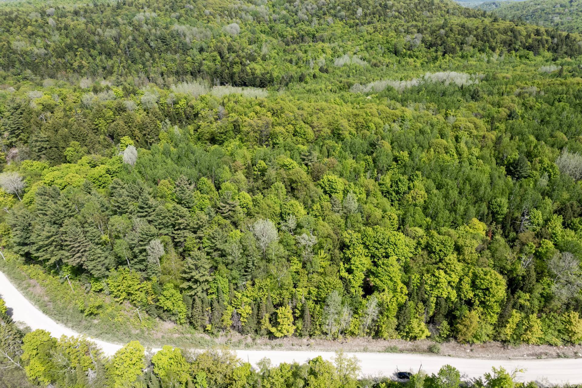 Overall View