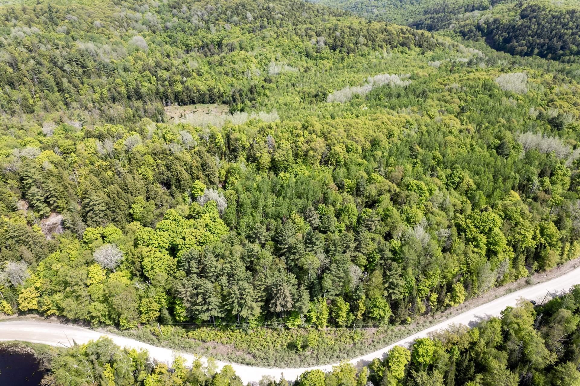 Overall View
