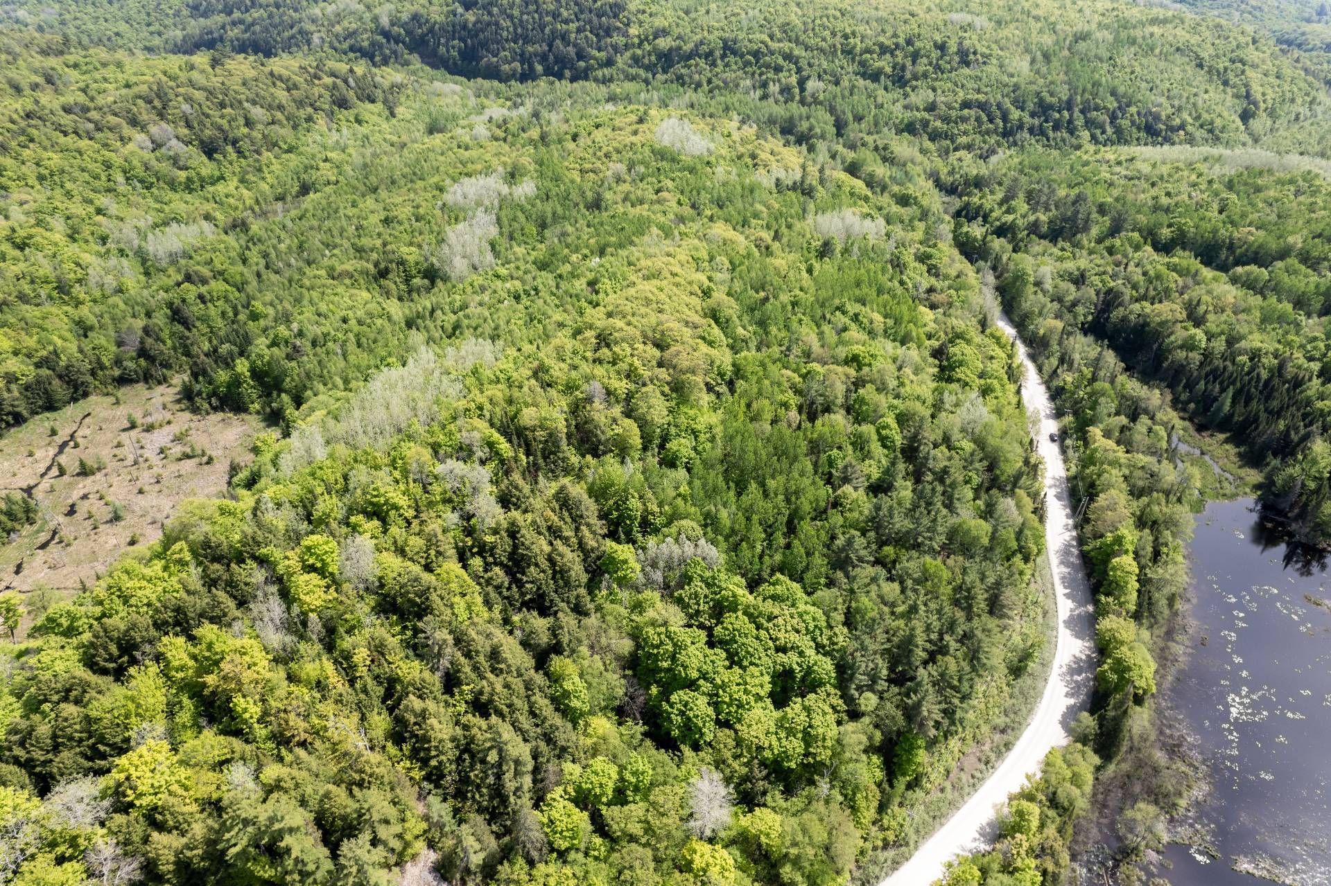 Overall View