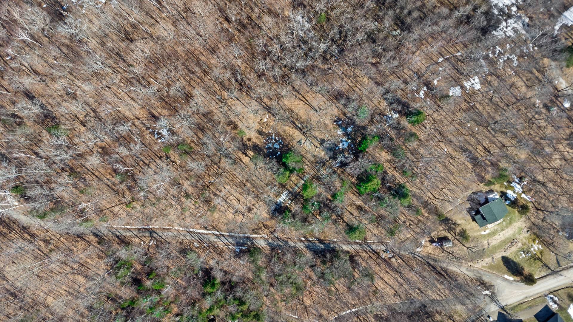 Land/Lot