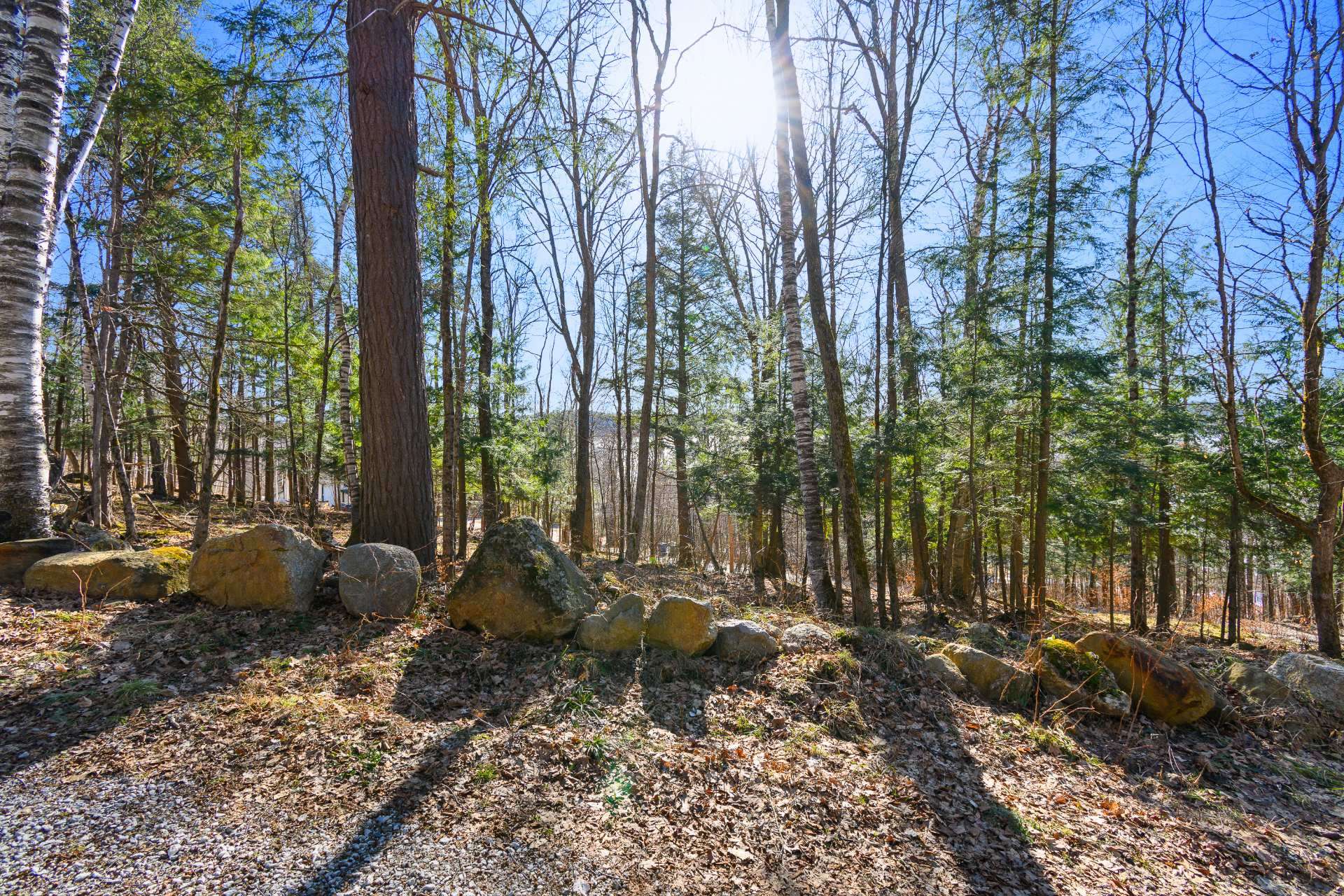 Land/Lot