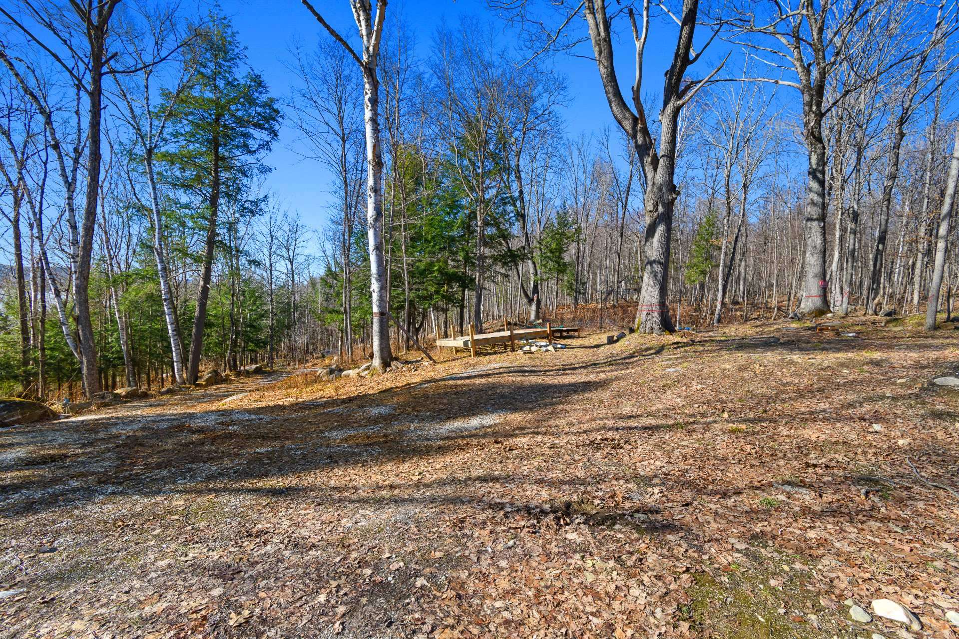 Land/Lot