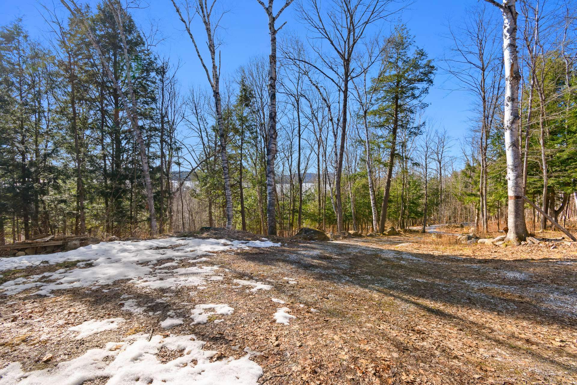 Land/Lot