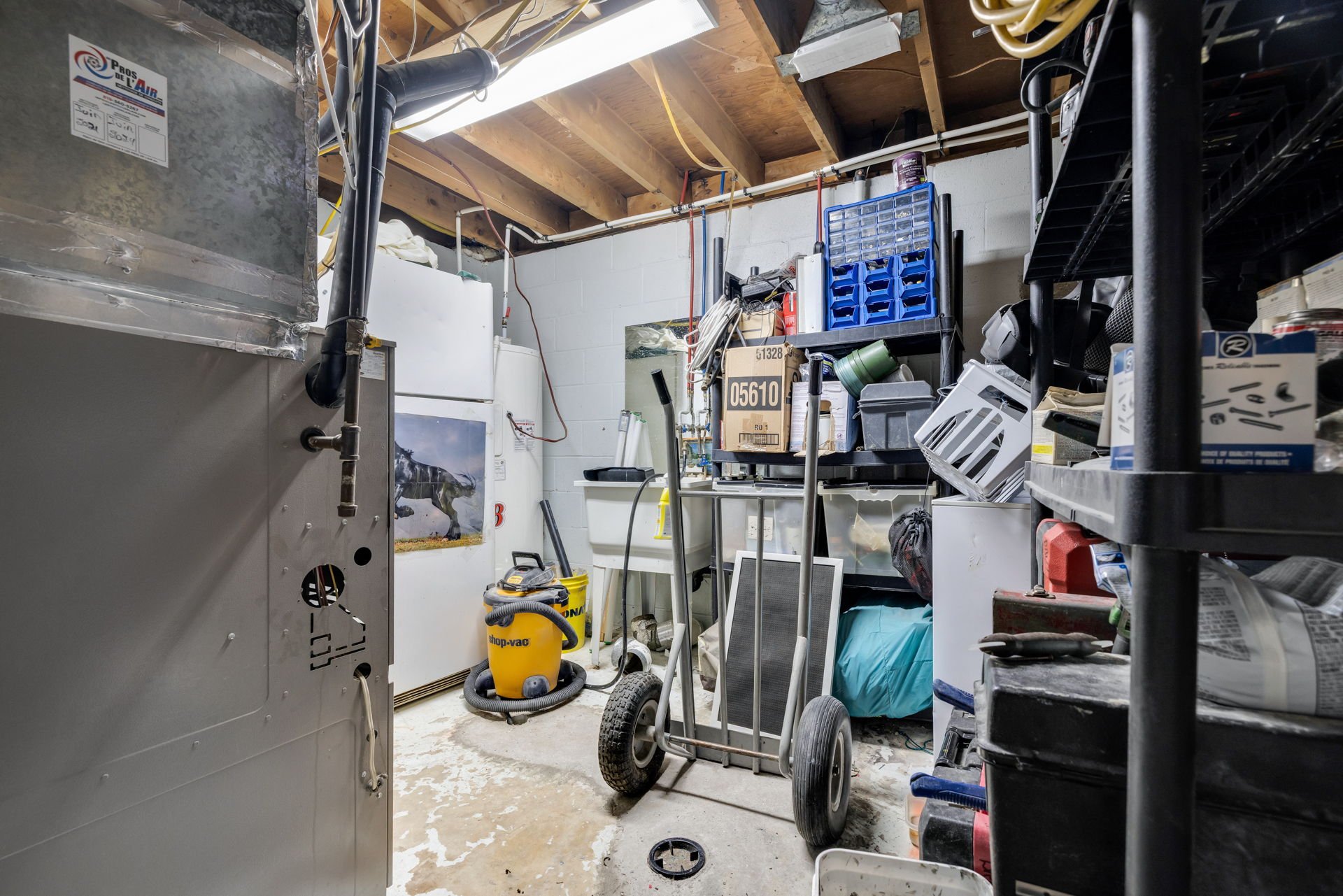 Basement