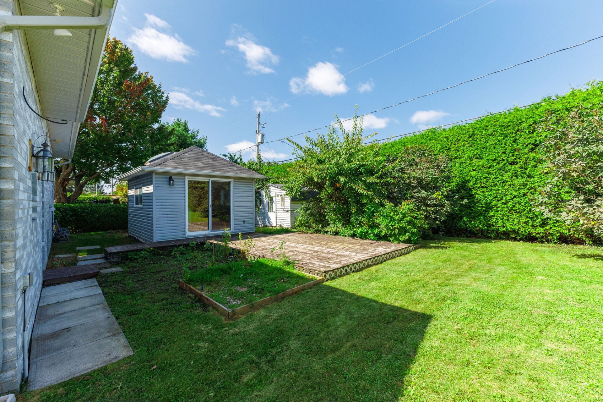Backyard