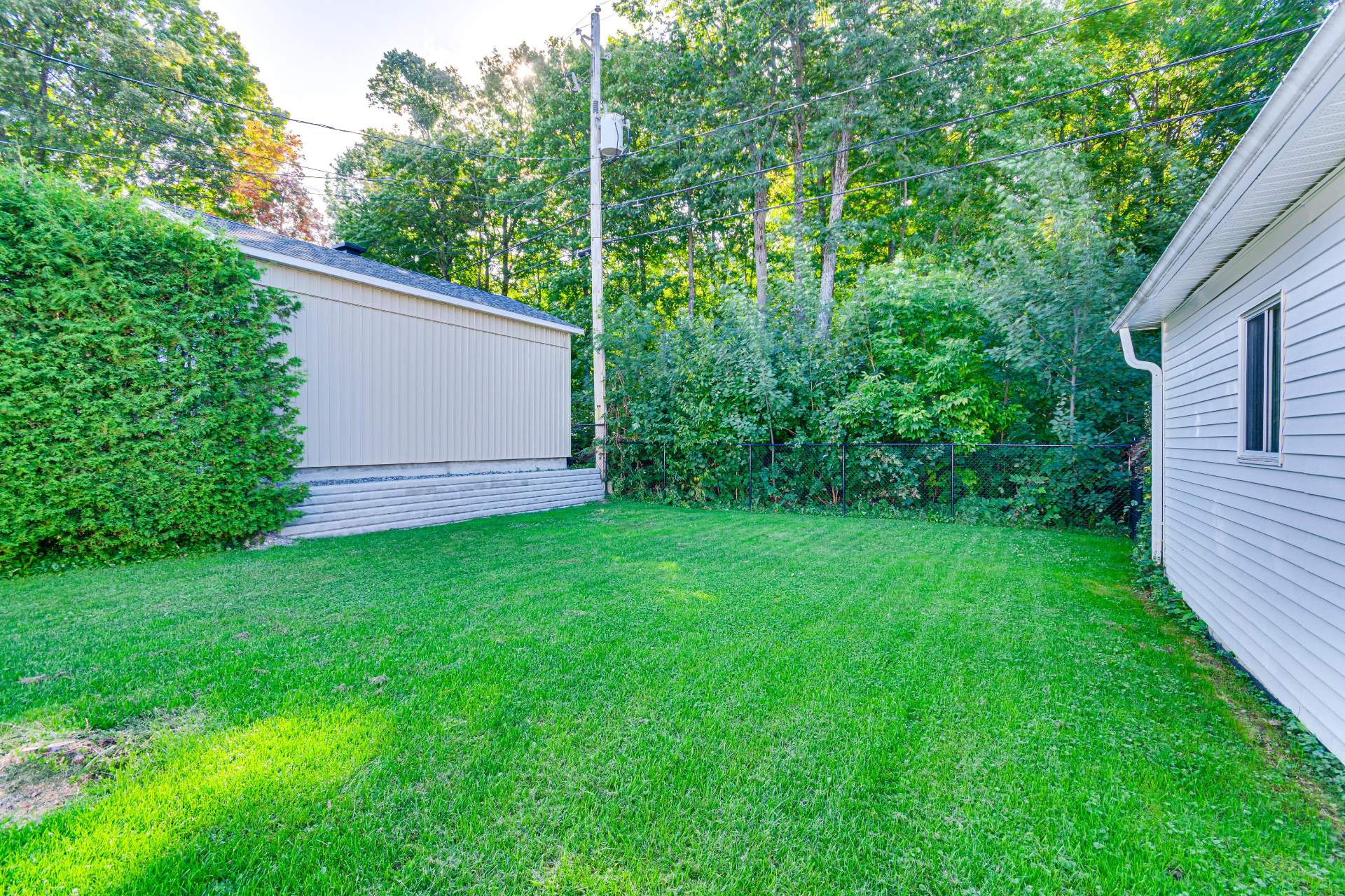 Backyard