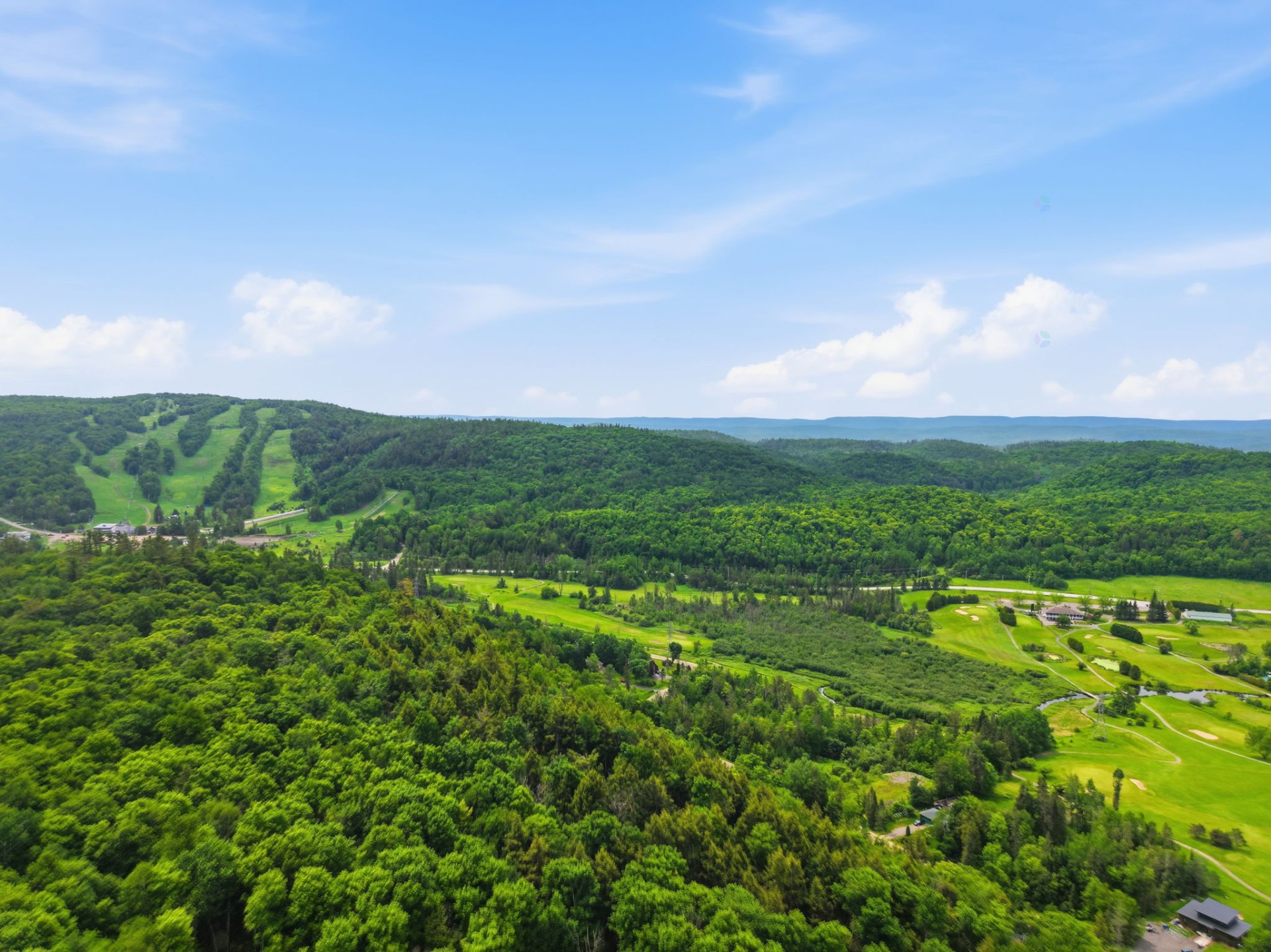 Aerial photo