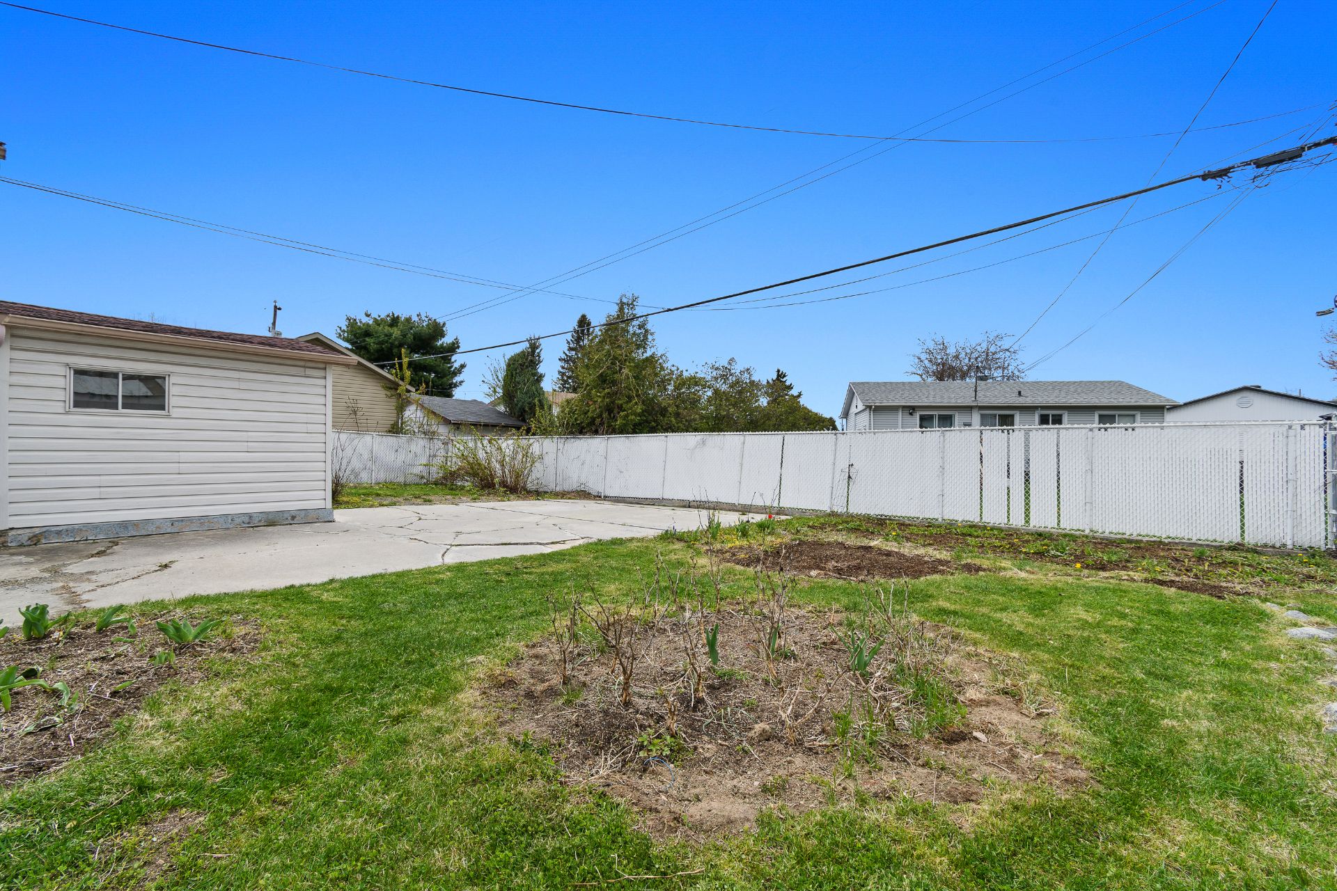 Backyard