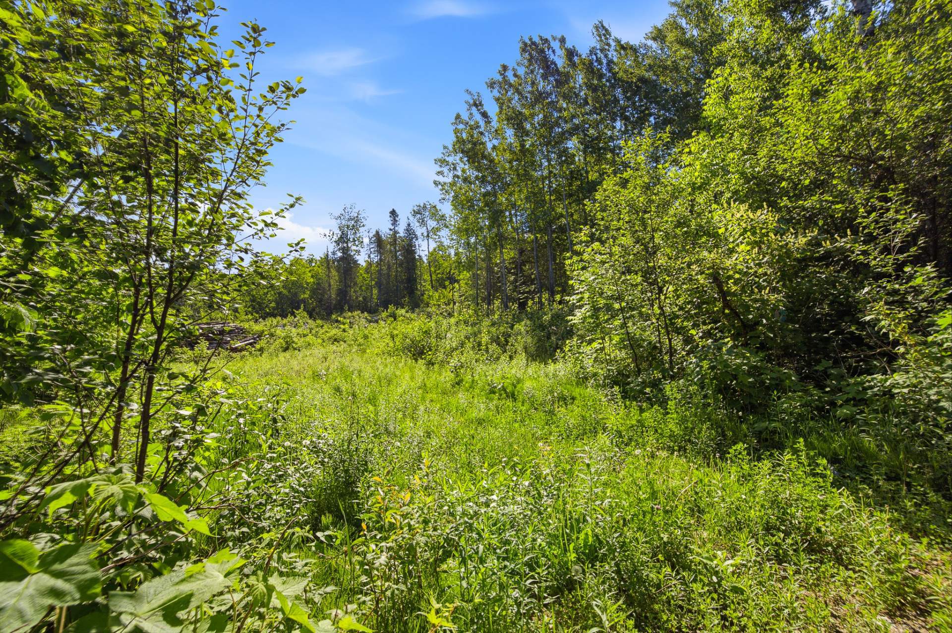Land/Lot