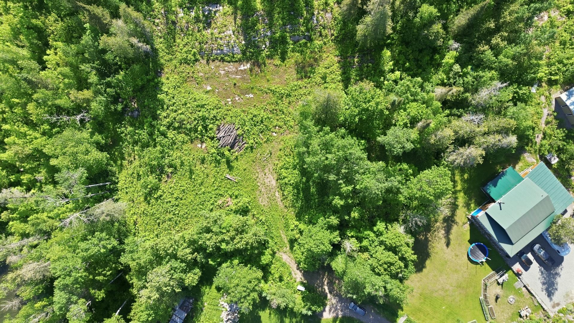 Land/Lot
