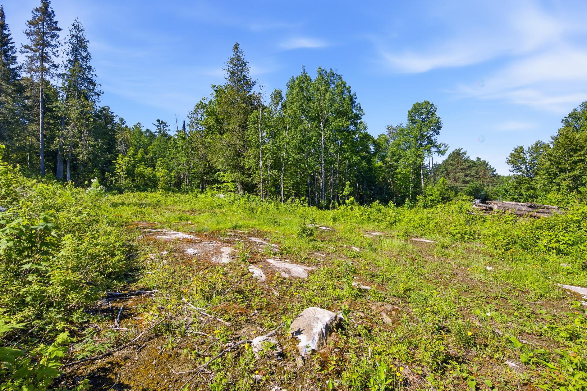 Land/Lot