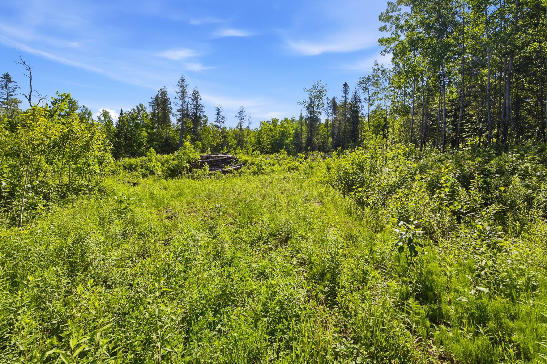 Land/Lot